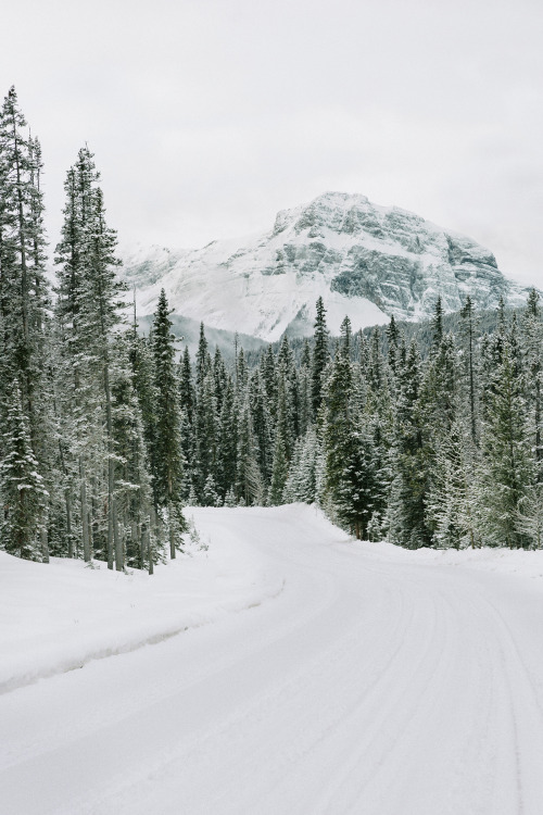 chrisamat:  Winter Drives in Alberta - www.chrisamat.com