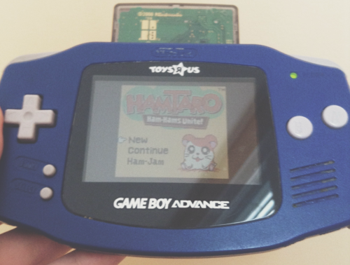 playing hamtaro on my gameboy (‘ ∇‘ )