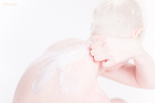lysagraphy:  Feather II Another set of the beautiful shooting with @rotzloeffel