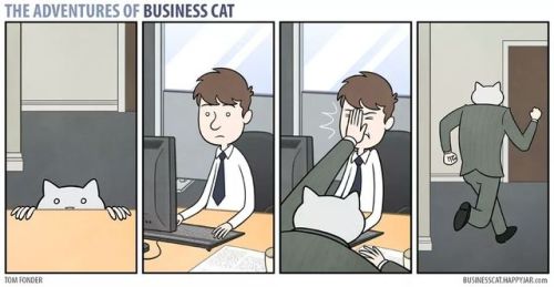 klubbhead: tomibunny: a-night-in-wonderland: The Adventures Of Business Cat #i like these cause it