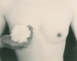 nobrashfestivity:  Masao Yamamoto