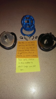 msfortunes:  newyear-newkinks:   chastefetish:  Good Boys get treats  They sure do! And guess who has been a good boy!   Absolutely wonderful picture set. I can only imagine how happy @chastefetish was to receive these little love notes. 💕