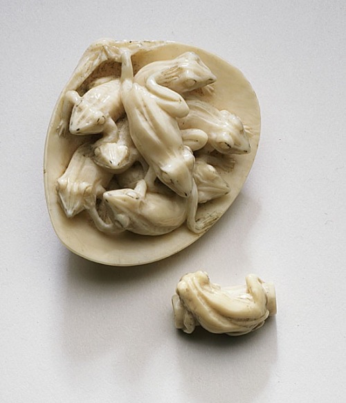 Japan Frogs in Clamshell, late 19th century Netsuke, Ivory with sumi