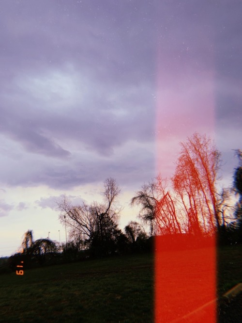 klassyxkat - kat