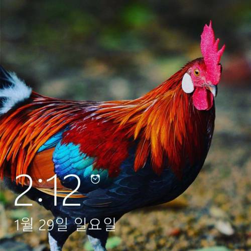 Seoulnal