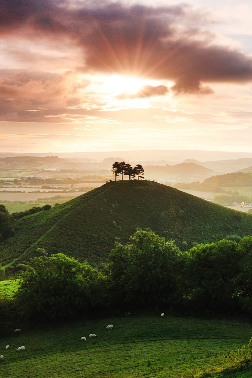heaven-ly-mind:  This green and pleasant land