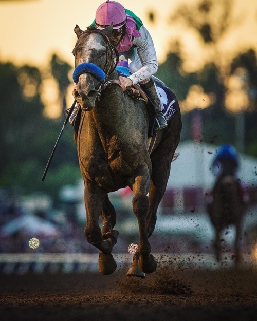 ARROGATE