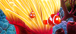 cloudsongs:Your dad’s been fighting the entire ocean looking for you. You see, kid, after you 
