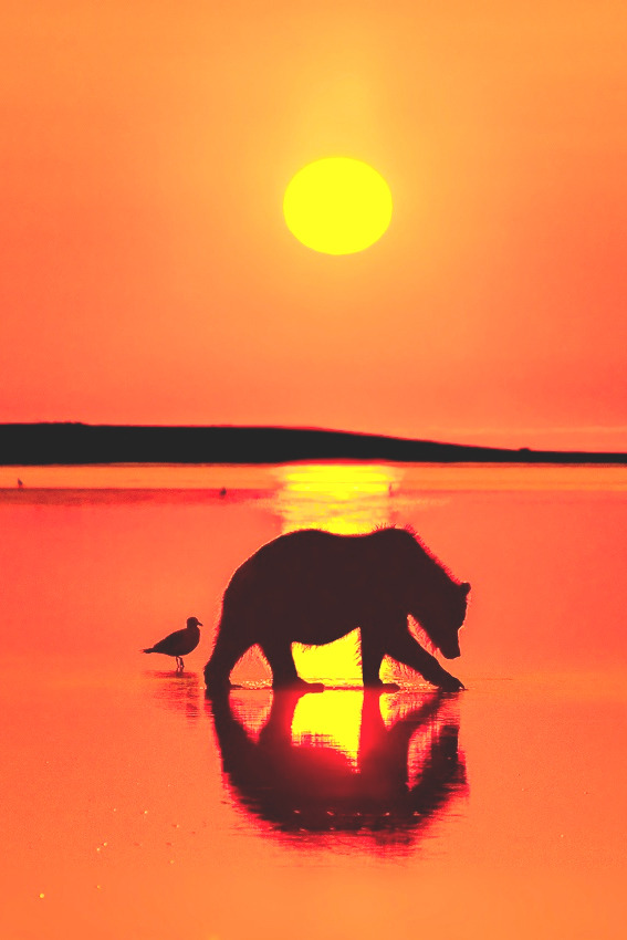 fratello sole &hellip;.. thewolf
