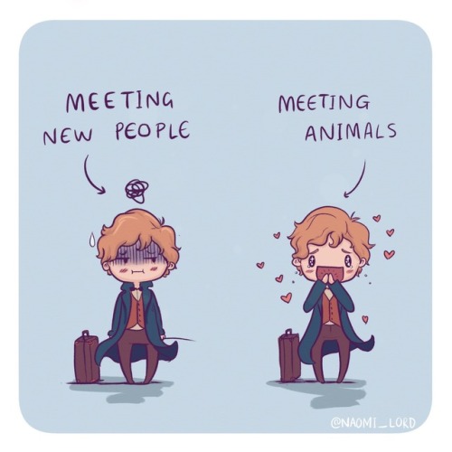 noonelikesaquaman: I can really relate to Newt haha animals are wayyy easier to talk to than people 