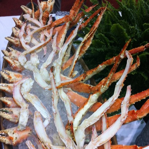 Alaskan King crab!!! #hirollin #alaskankingcrab #kingcrab #crab #theotherwhitemeat #chefsofinstagram