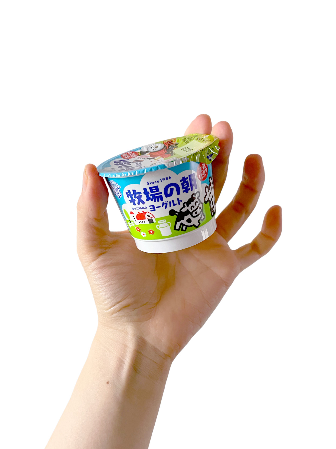 Yoghurt — 牧場の朝ヨーグルト 生乳仕立て...