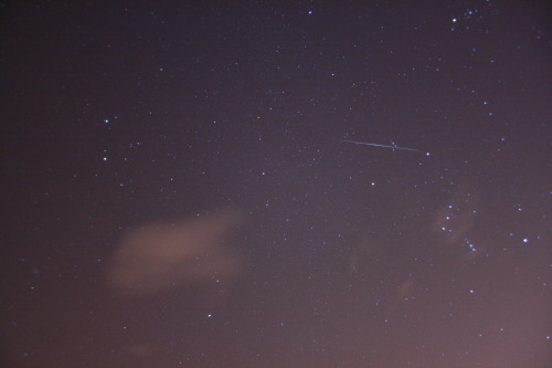 theastrokid:The constellation of Orion and a meteor from last nights Geminids shower.