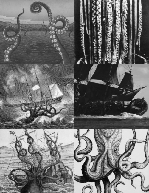 Cryptid Aesthetics[6/?]: Giant Octopi