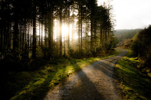 Beams of light by cragproductions. on Flickr.