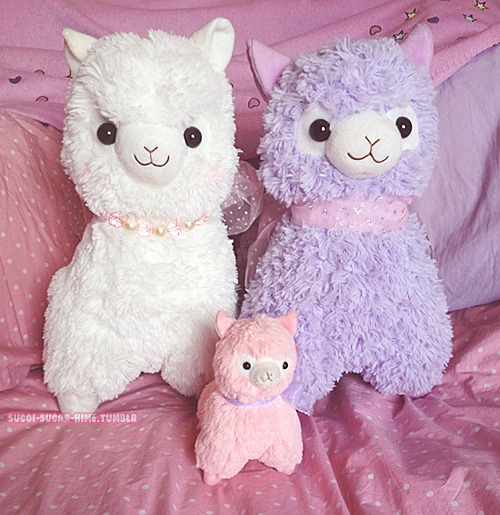 sugoi-sugar-hime:  I went to comic con last saturday and got this adorable white