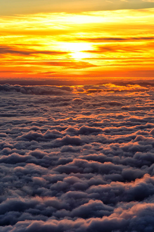 premiums:
“ Sea of Clouds - By Joshua Karch
”