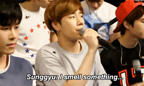 infinite has lied to us