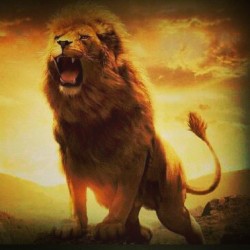 You got di roaring heart of a lion&hellip;.