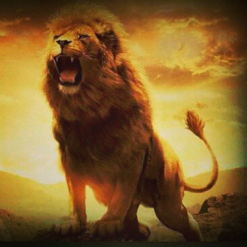 You got di roaring heart of a lion….