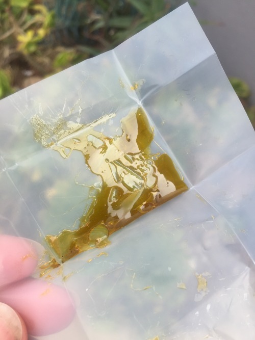 awakeningavalon:  Harlequin GDP Live Resin (50.67% THC, 30.35% CBD)  Best CBD mix I’ve ever had. This near ‘cured’ my joint pain and morning nausea. Weed is amazing. 🌿 