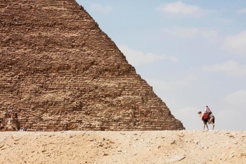 Great Pyramid of Khufu (Cheops) and Camel Driver, Giza. Photo: Peter Langer