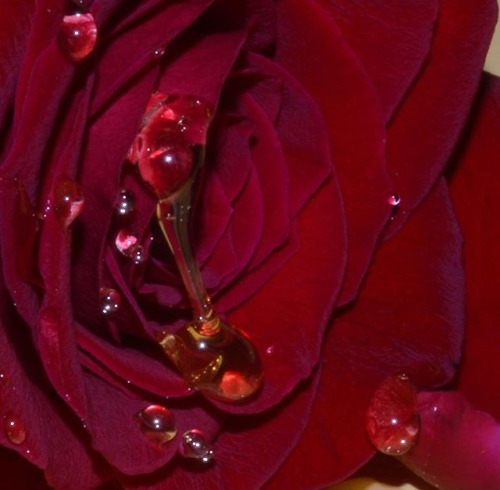 silk101:  -