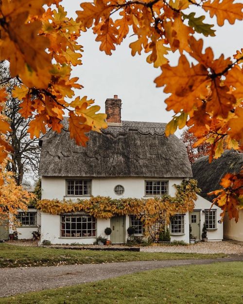 autumncozy:By postcardsbyhannah