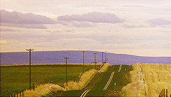 danedehaan:I’m a connoisseur of roads. I’ve been tasting roads my whole life. This road will never e