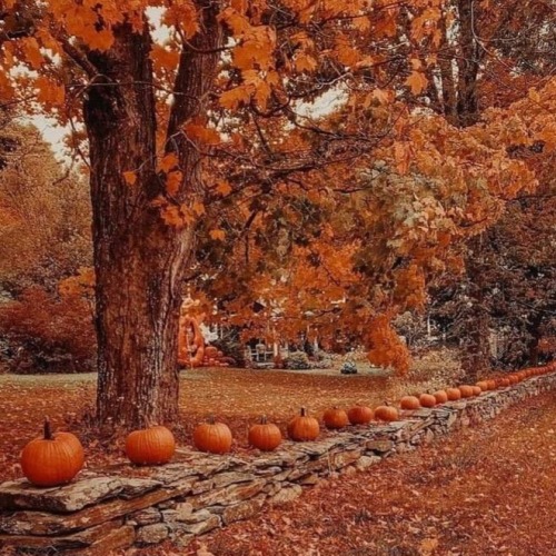 Aki's My Favorite Boy And Autumn Is My Fav Season. What Are The Odds