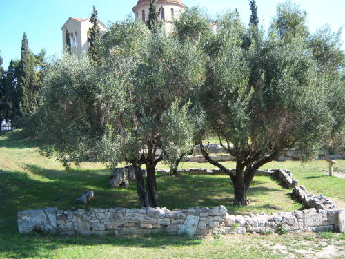 coloricioso:a-gnosis:Kerameikos. Tombs, flowers and tortoises (seriously, there were a lot of tortoi