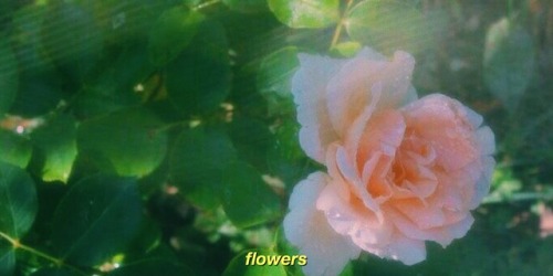 Happy Birthday Na Jaemin