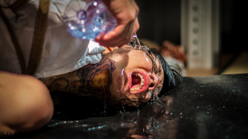 strictly-dirtyvonp:  Me tying @kitiza-perche Photos : D-B-S Session 2/3 