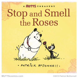 muttscomicsofficial:    Happy Red Rose Day