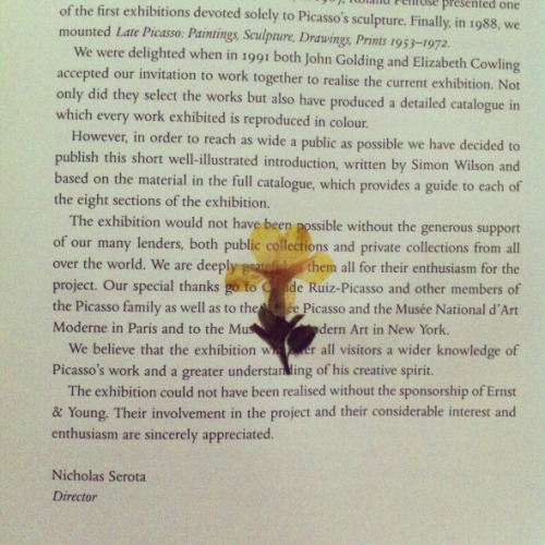 A beautiful accident, i love the way the letters peer through the petals. Please, please, please for