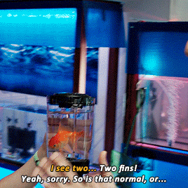 f9752550afe70aa1f925dc04d5461fabb5999c54.gifv