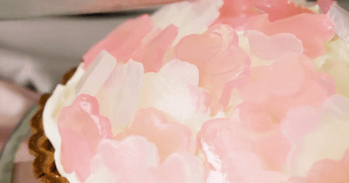 cravingforcooking:Peach Blossom Rare Cheesecake 桃の花レアチーズケーキ ※ Do not delete the caption / Do not rep
