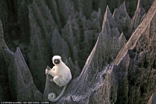 gorgeousgeology:naturallyaspirated:gorgeousgeology:naturallyaspirated:gorgeousgeology:Madagascar, Ts