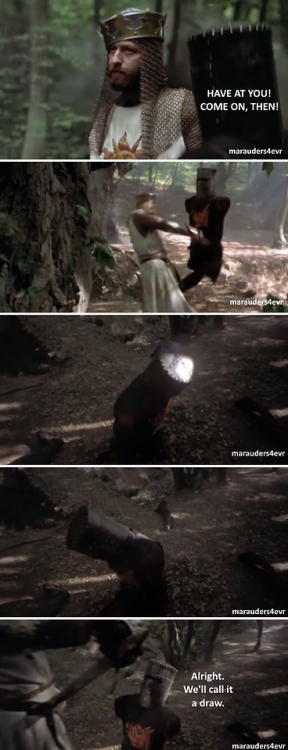 marauders4evr:   It’s just a flesh wound.  The single greatest scene in cinematic history. 