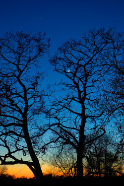  The Moon, Jupiter and Venus by `Photosbykev