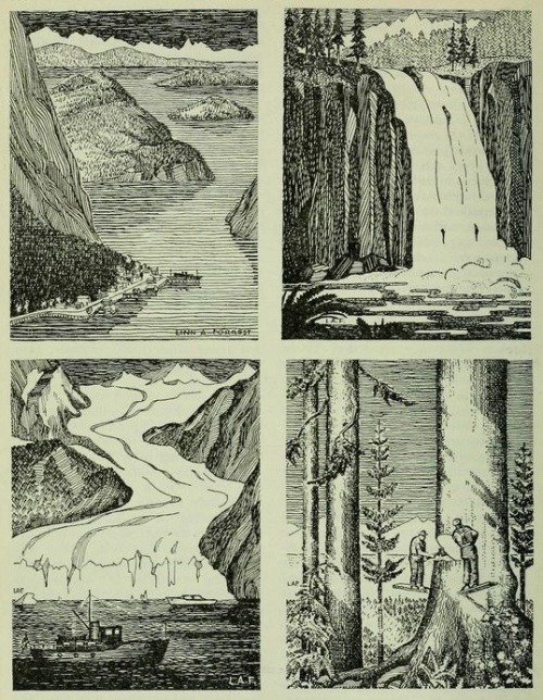 destinydiamante: nemfrog: “Four scenes in the forests of Alaska.” Trees : the yearb