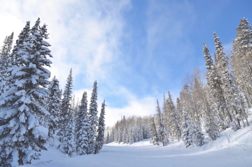 mushburch:  I really like pines PARK CITY UTAH