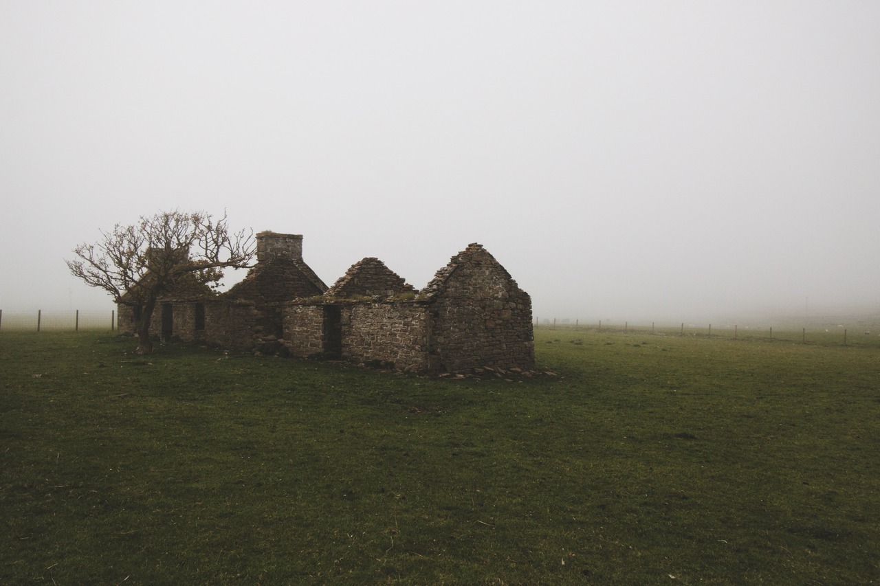 skylerbrownart:  Scotland Fog photos by Skyler Brown Tumblr | Facebook | Instagram