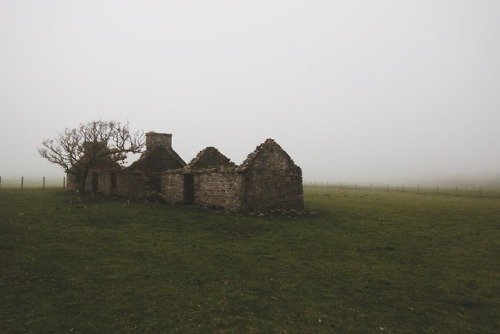 skylerbrownart: Scotland Fog photos by Skyler Brown Tumblr | Facebook | Instagram | Flickr