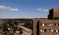 thelandofsnowandsorrow:  Synced time lapse sequences of Finland, one during the darkest