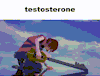 fragmentsofsorrow:fragmentsofsorrow:vanibear:also thinking about this gif my bf found#someone should make a reverse gif and just write TESTOSTERONE so we have both (via @localcryptideli)oh hey I know how to make gifs now, I could do this!