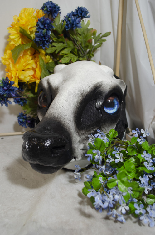 The floral deer 2.0! This time a wearable mask instead of exclusively a wall mount. He’s 