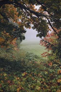 brutalgeneration:  untitled by Rose Clements.