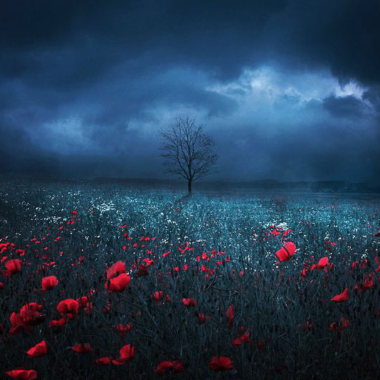 coiour-my-world:“Glowing in the dark” || baxiaart