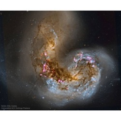 Spiral Galaxy NGC 4038 in Collision Image